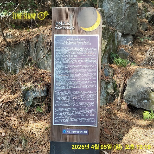 대한팔경 해운대 달맞이길